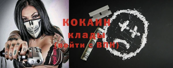 амф Ельня