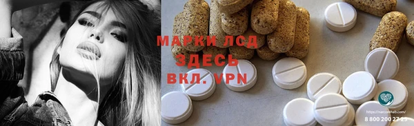 амф Ельня