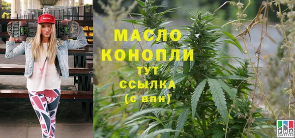 амф Ельня