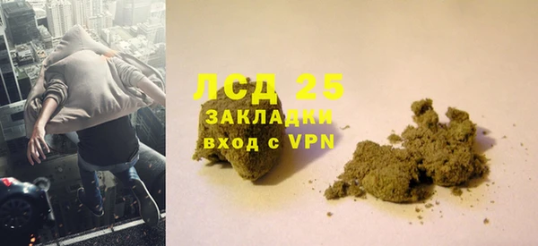 амф Ельня