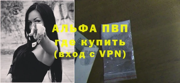 амф Ельня
