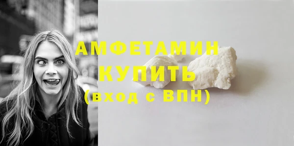 амф Ельня
