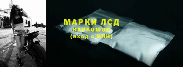 амф Ельня