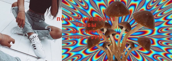 стафф Елабуга