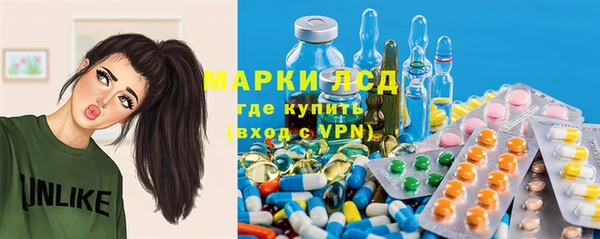 стафф Елабуга