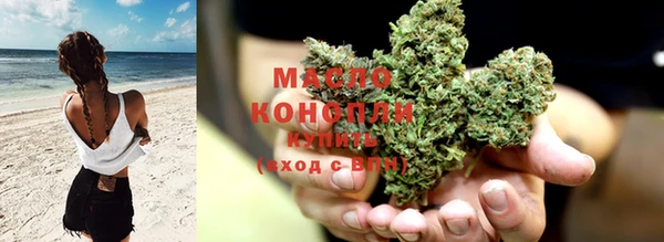 амф Ельня